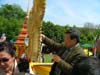 phrabang05d-181