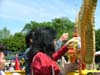 phrabang05d-211