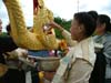 8thphrabang2007 630