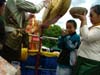 8thphrabang2007 648