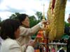 8thphrabang2007 662