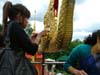 8thphrabang2007 758