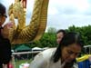 8thphrabang2007 864